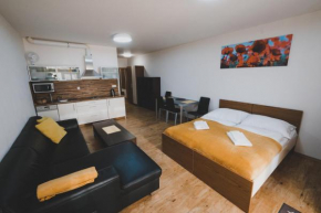 Apartmán Max Lipno Lipno Nad Vltavou